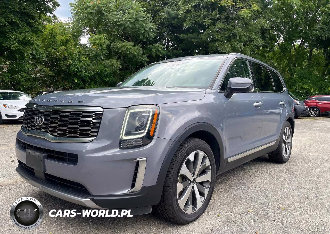 2020 Kia Telluride Ex VIN:5XYP3DHC1LG053896 - 2