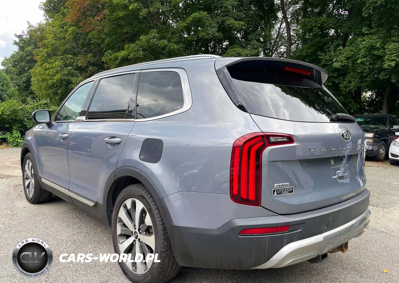 2020 Kia Telluride Ex VIN:5XYP3DHC1LG053896 - 3