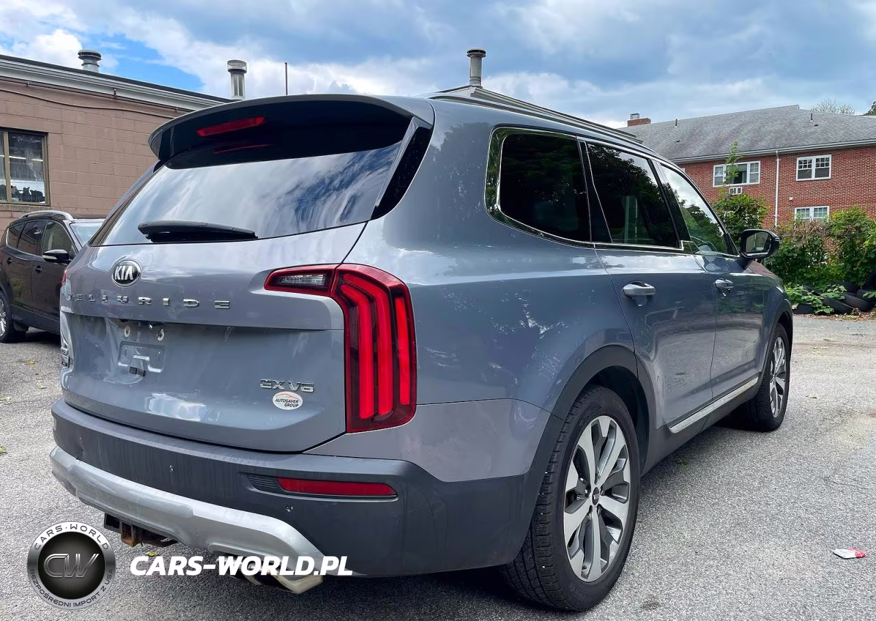 2020 Kia Telluride Ex VIN:5XYP3DHC1LG053896 - 4