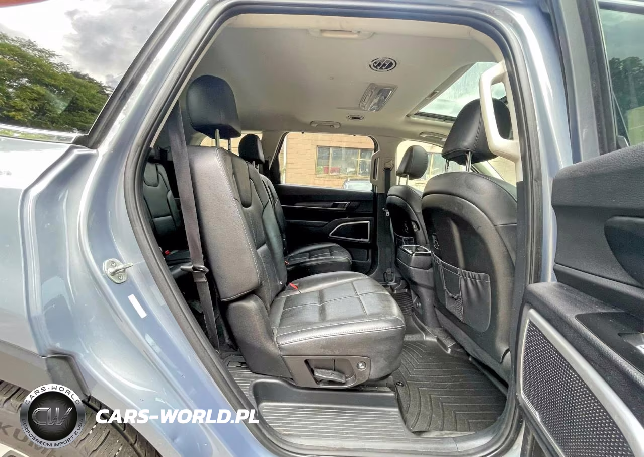 2020 Kia Telluride Ex VIN:5XYP3DHC1LG053896 - 6