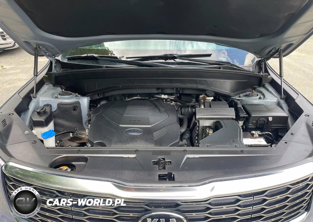 2020 Kia Telluride Ex VIN:5XYP3DHC1LG053896 - 7