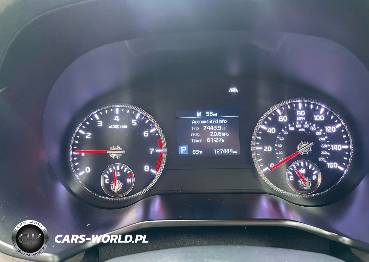 2020 Kia Telluride Ex VIN:5XYP3DHC1LG053896 - 8