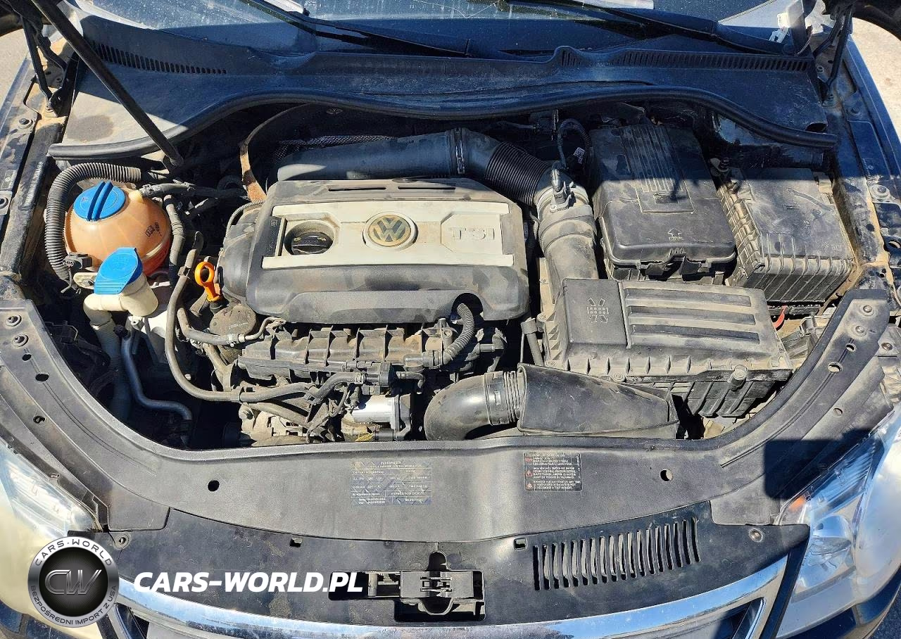 2009 Volkswagen Eos Turbo VIN:WVWBA71F39V020339 - 11