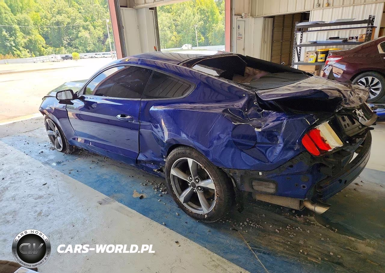 2016 Ford Mustang VIN:1FA6P8AM9G5255075 - 2