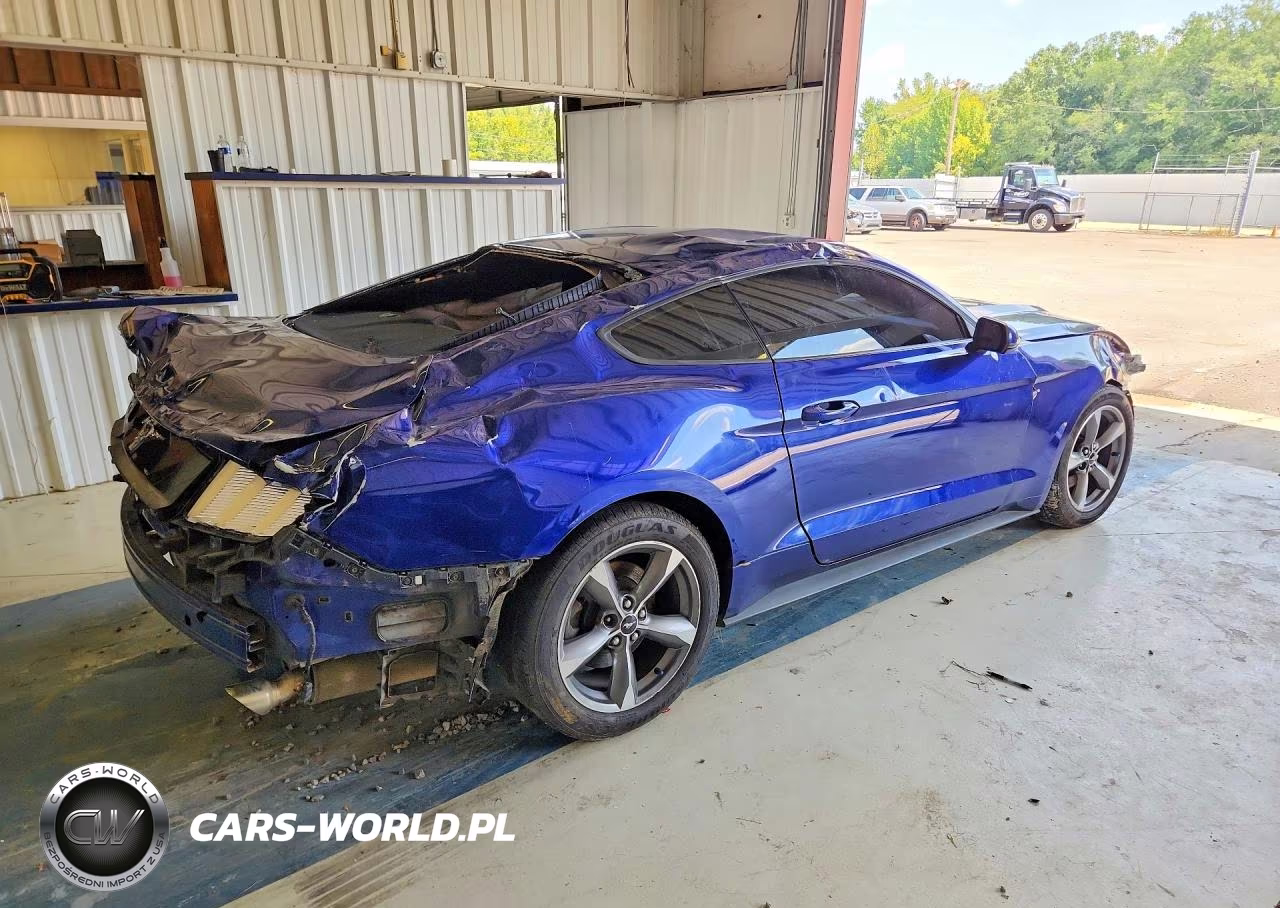 2016 Ford Mustang VIN:1FA6P8AM9G5255075 - 3
