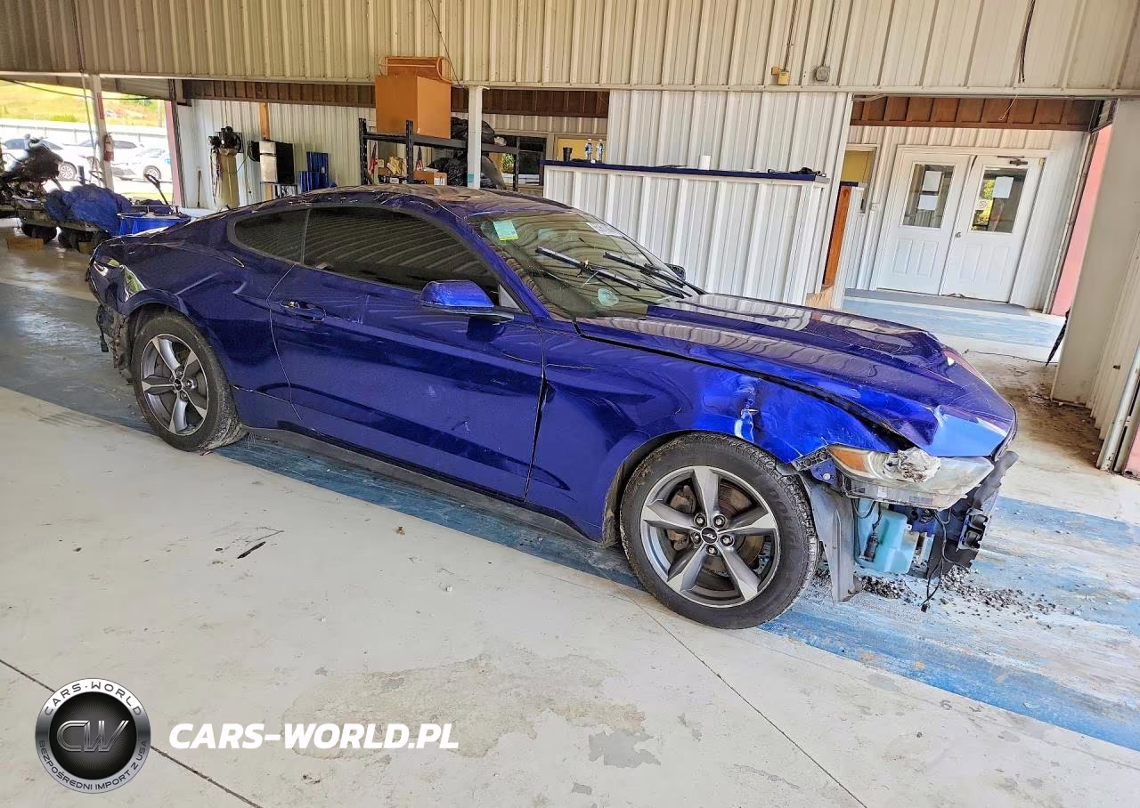 2016 Ford Mustang VIN:1FA6P8AM9G5255075 - 4