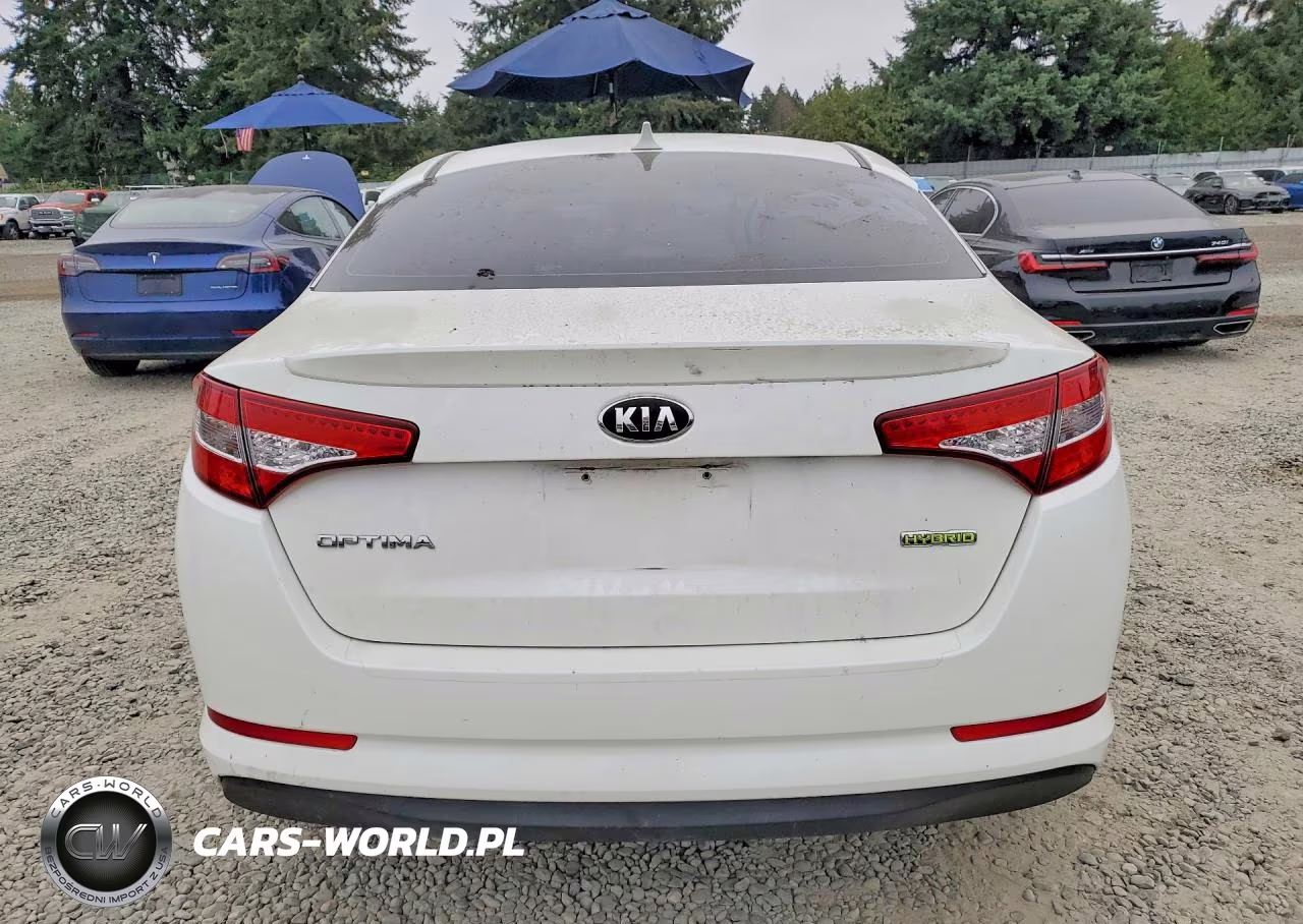 2012 Kia Optima Hybrid VIN:KNAGM4AD7C5034114 - 6