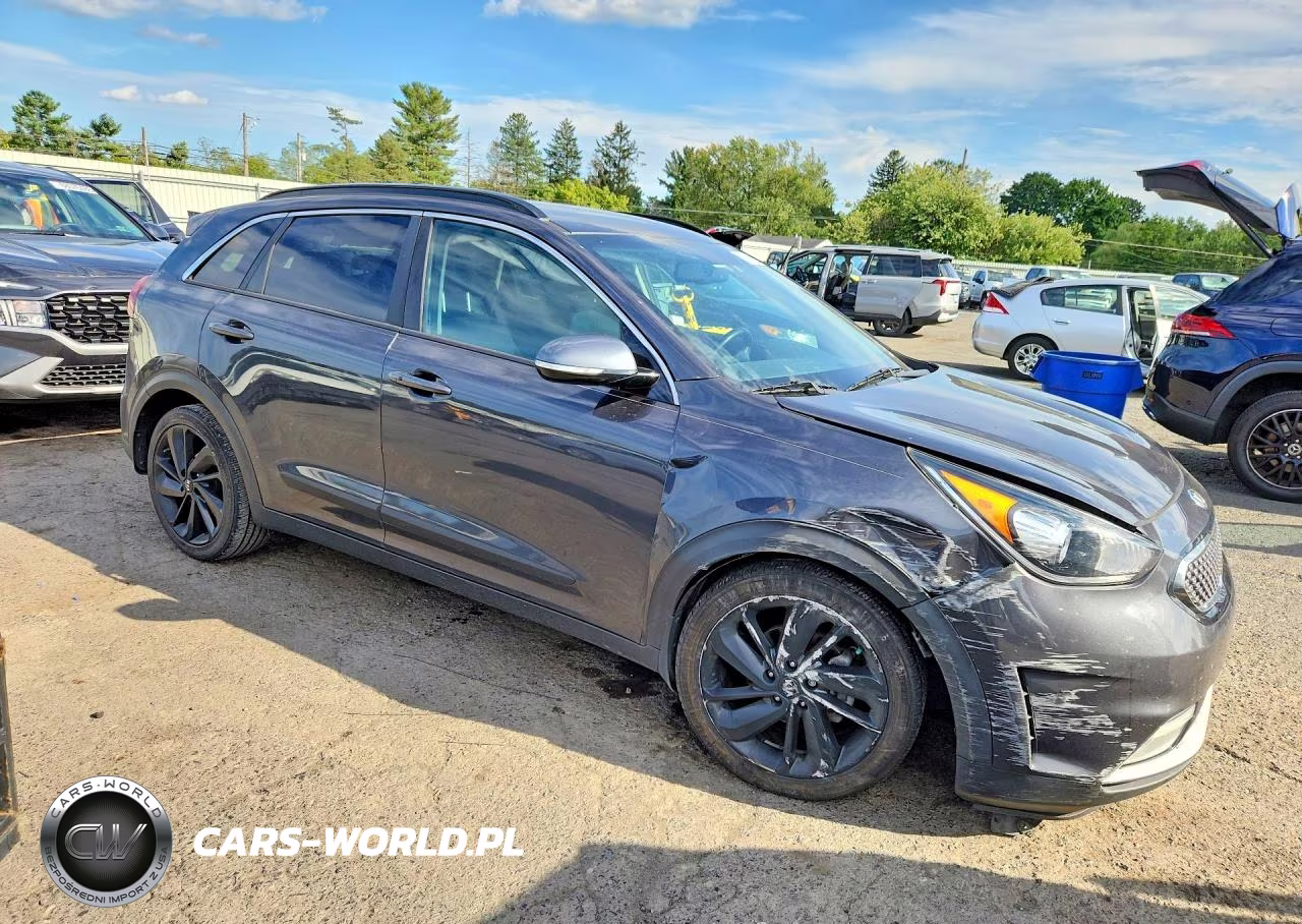 2019 Kia Niro S Touring VIN:KNDCC3LC2K5248820 - 4