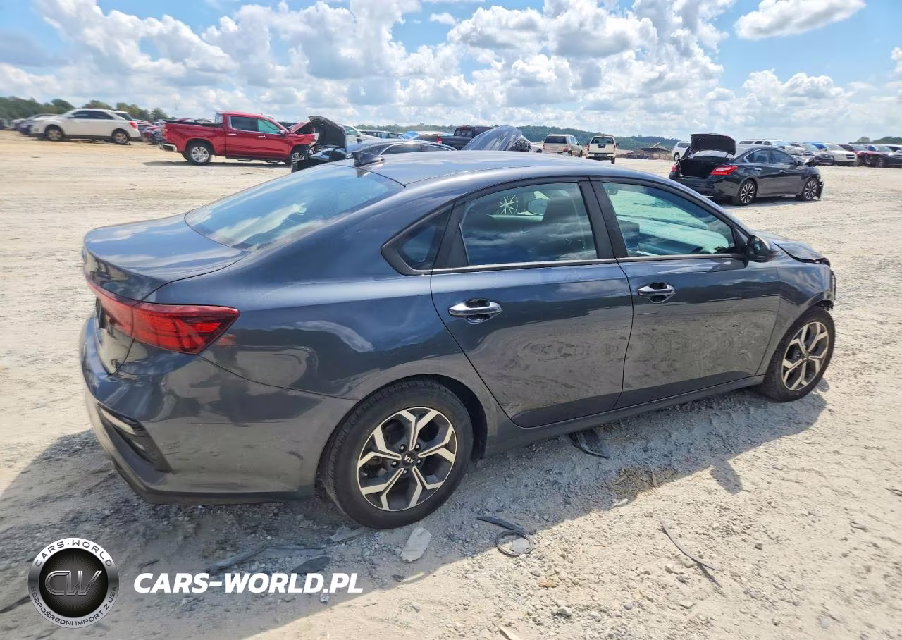 2019 Kia Forte Lxs VIN:3KPF24AD3KE105865 - 3