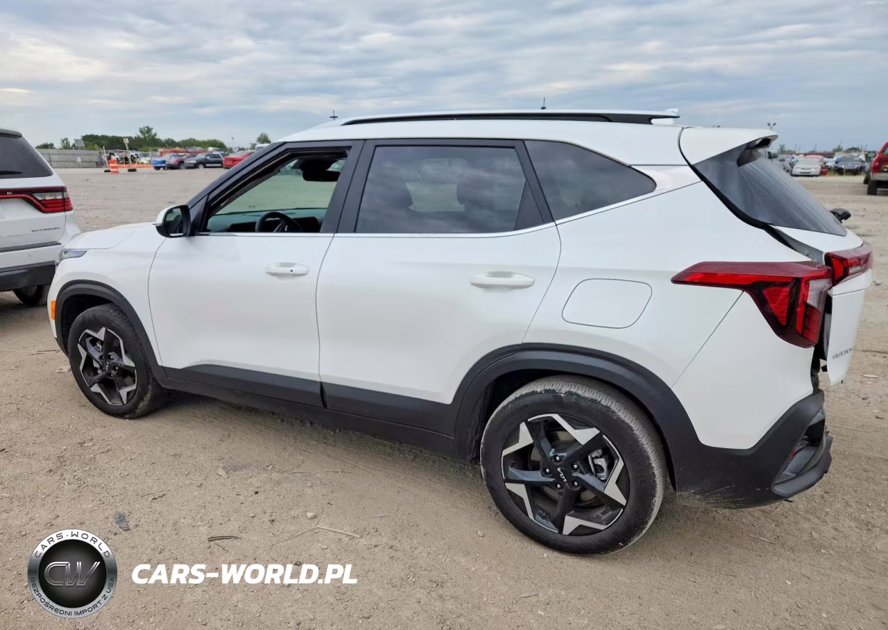 2025 Kia Seltos Ex VIN:KNDERCAA7S7795613 - 2