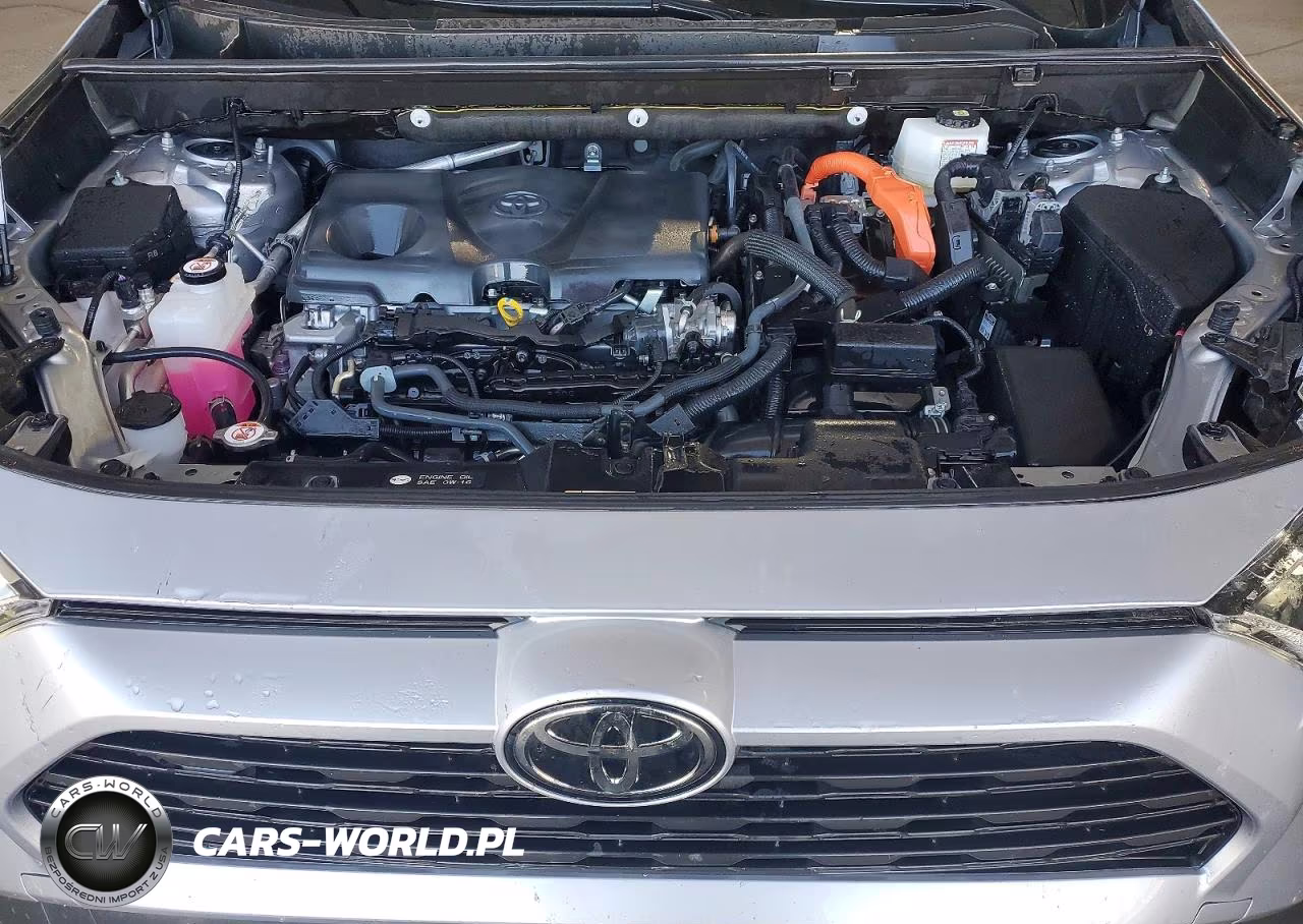 2025 Toyota Rav4 Le VIN:JTMMWRFV7SD335288 - 12