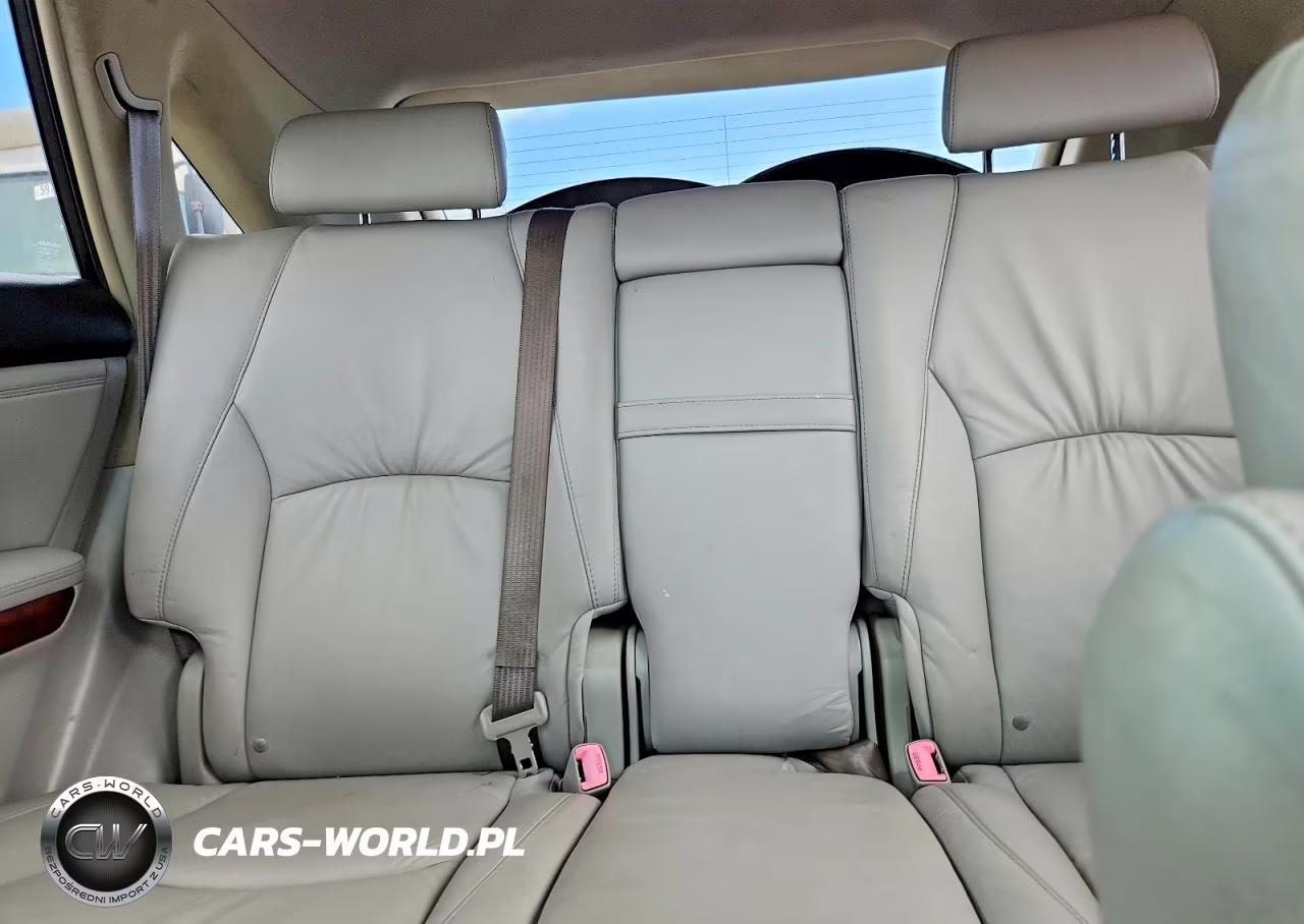 2007 Lexus Rx 350 VIN:JTJGK31U970008021 - 10