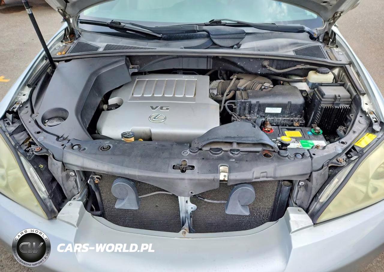 2007 Lexus Rx 350 VIN:JTJGK31U970008021 - 12