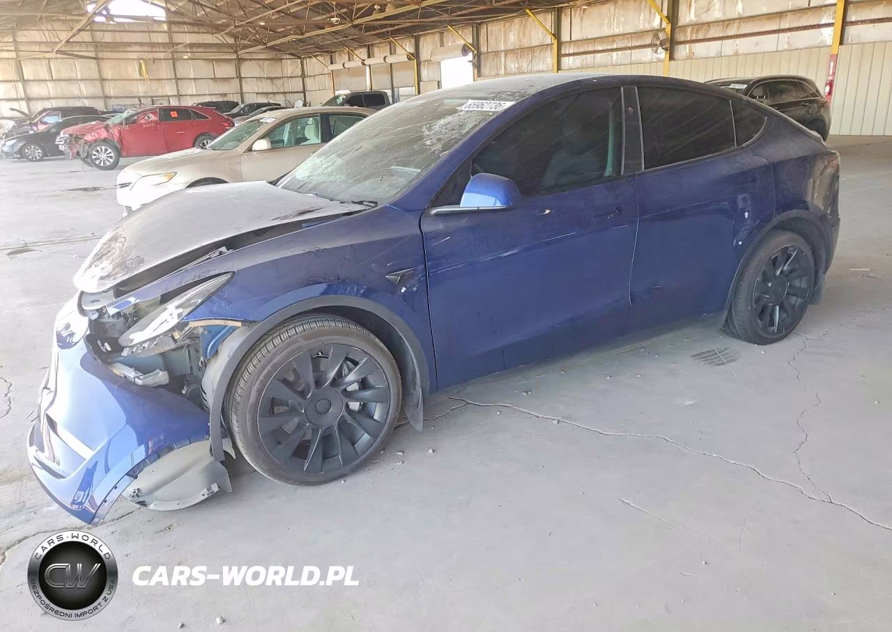 2023 Tesla Model Y VIN:7SAYGDEE9PA204141 - 1
