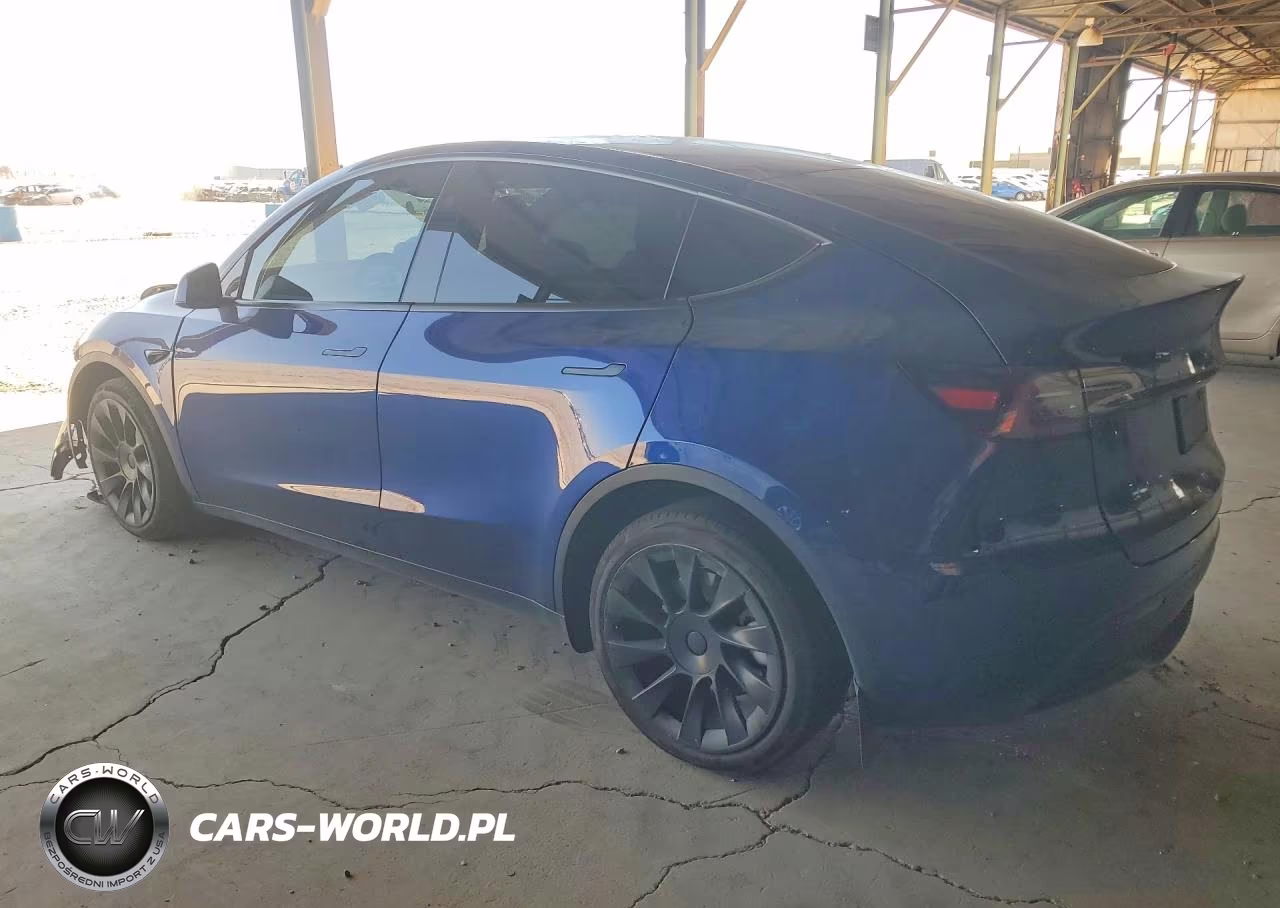 2023 Tesla Model Y VIN:7SAYGDEE9PA204141 - 2