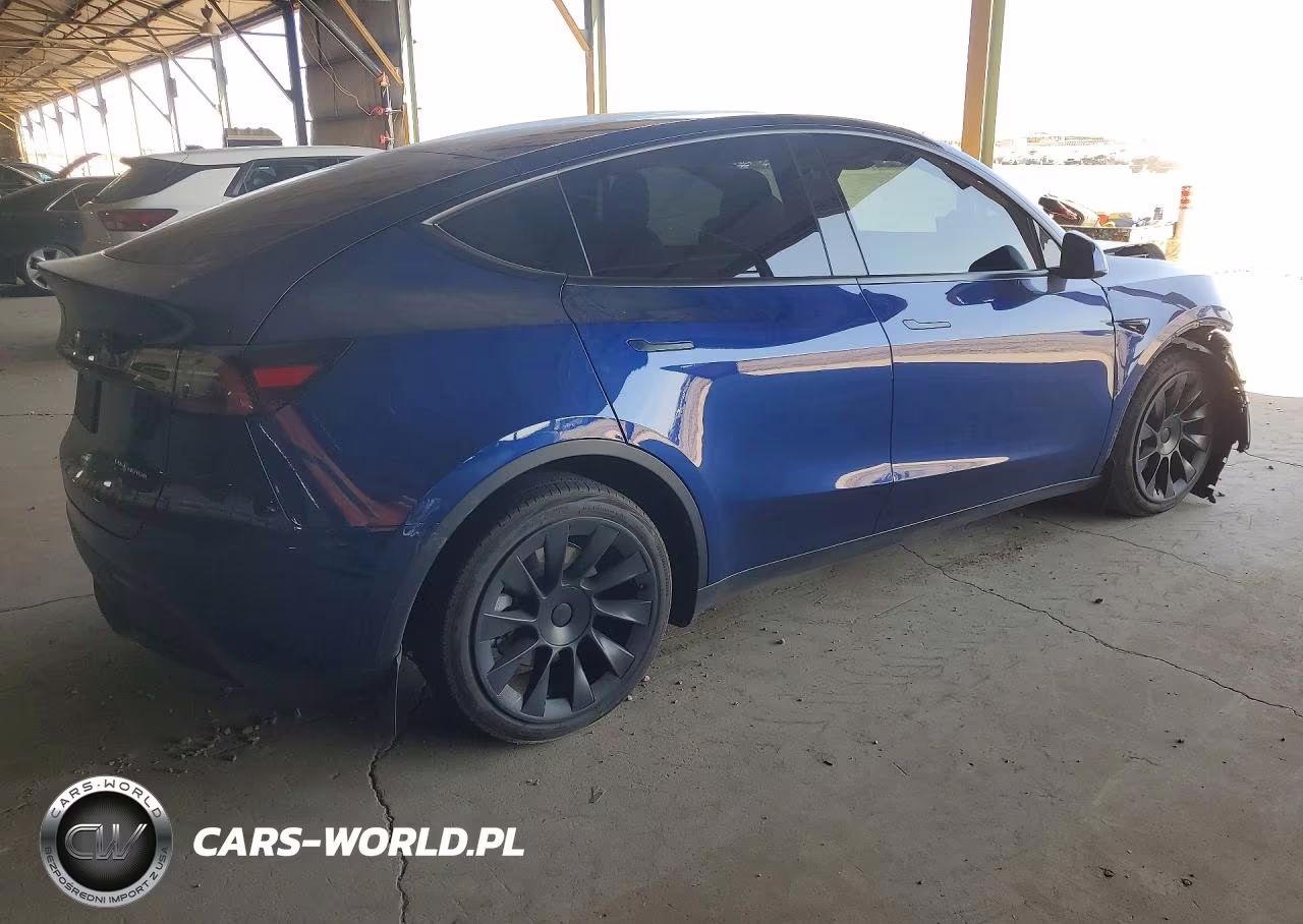 2023 Tesla Model Y VIN:7SAYGDEE9PA204141 - 3