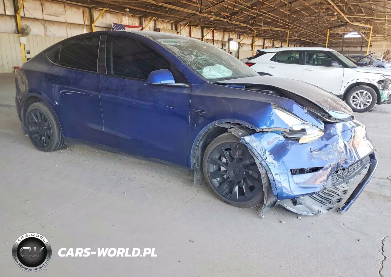 2023 Tesla Model Y VIN:7SAYGDEE9PA204141 - 4
