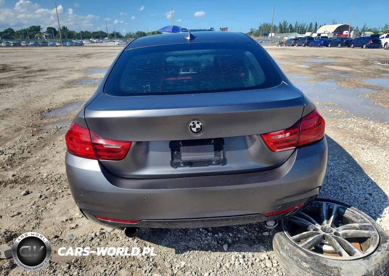 2015 BMW 435 I Gran Coupe VIN:WBA4B1C53FG241220 - 6