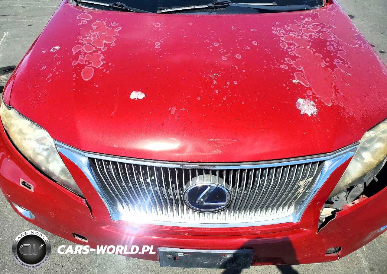 2010 Lexus Rx 450H VIN:JTJBC1BA2A2015842 - 12