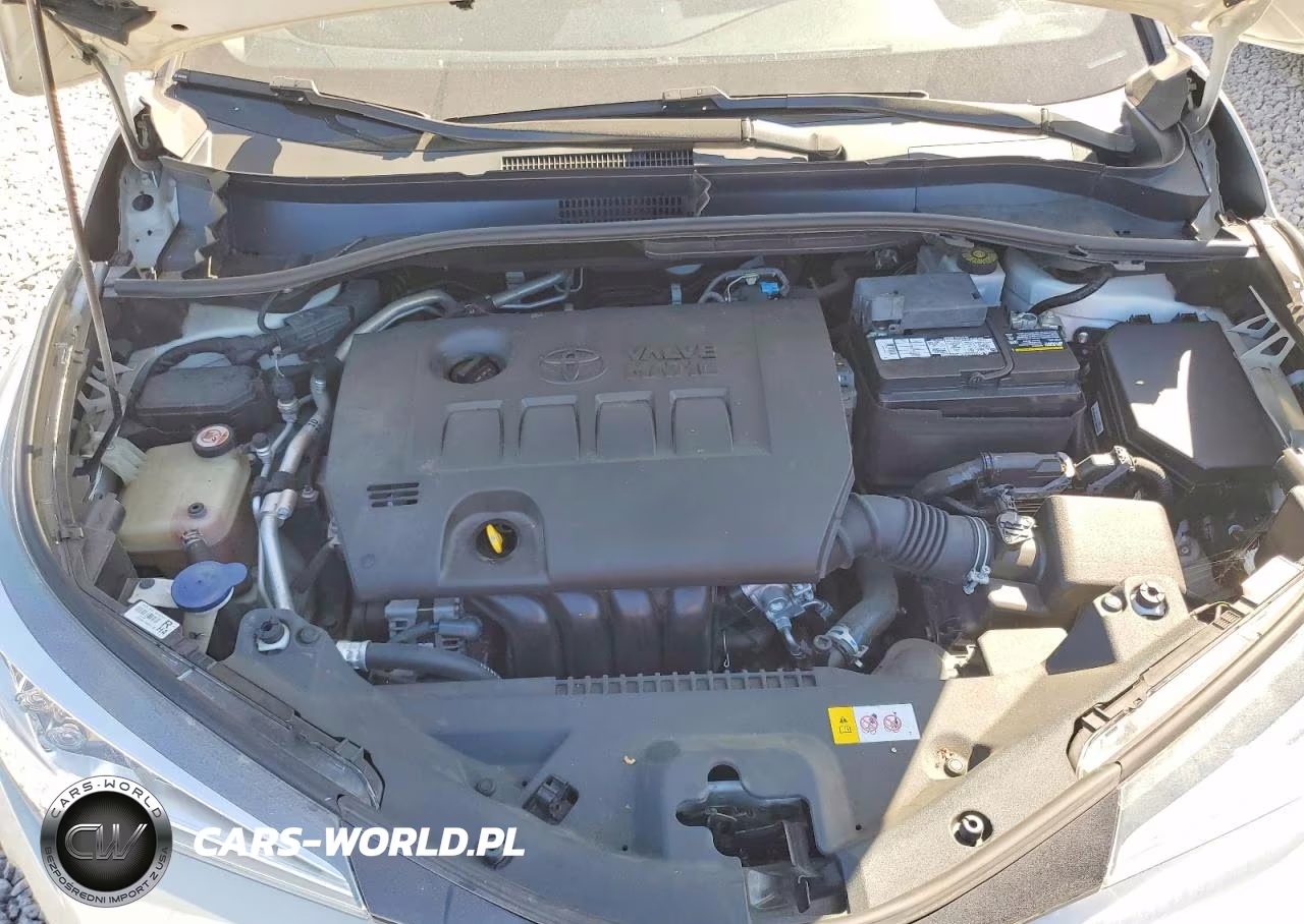 2019 Toyota C-Hr Xle VIN:NMTKHMBX8KR087230 - 11