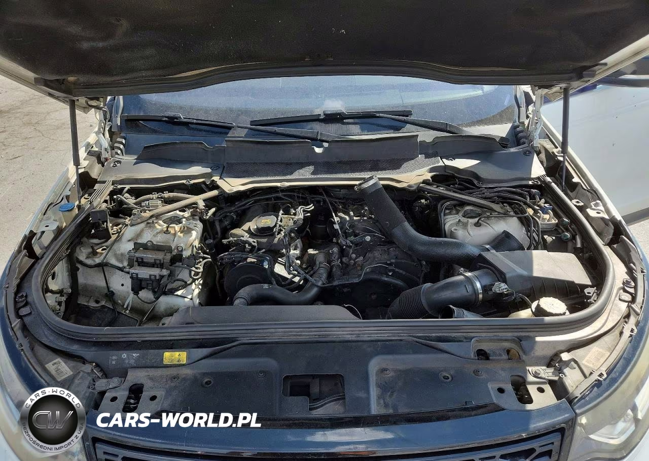 2017 Land Rover Discovery Hse VIN:SALRRBBK5HA020606 - 12