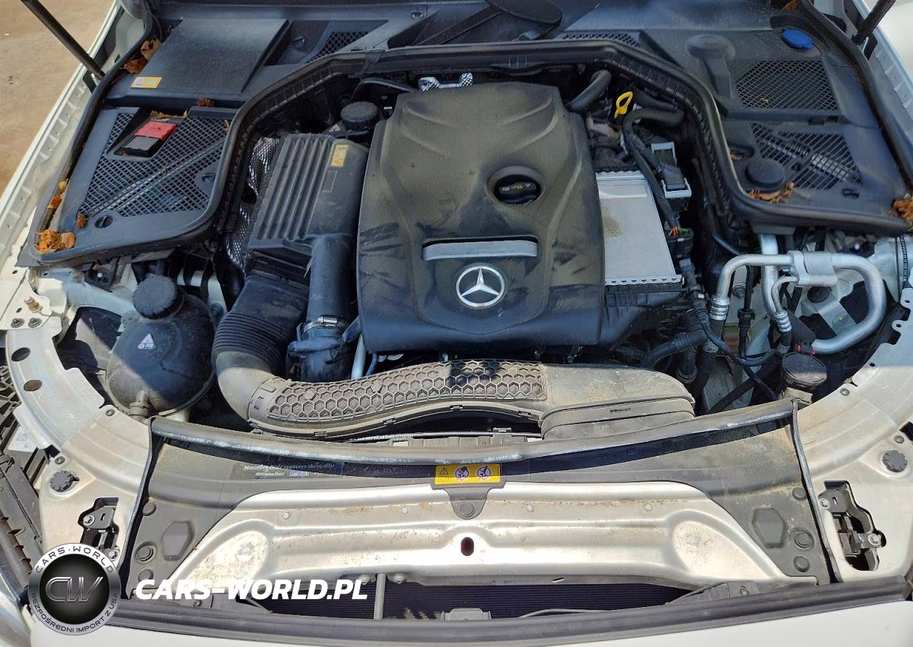 2015 Mercedes-Benz C 300 VIN:55SWF4JB7FU077425 - 11