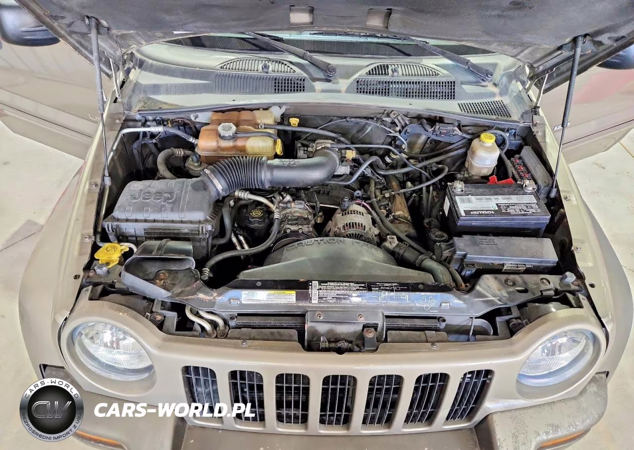 2004 Jeep Liberty Limited VIN:1J8GL58K34W195564 - 12