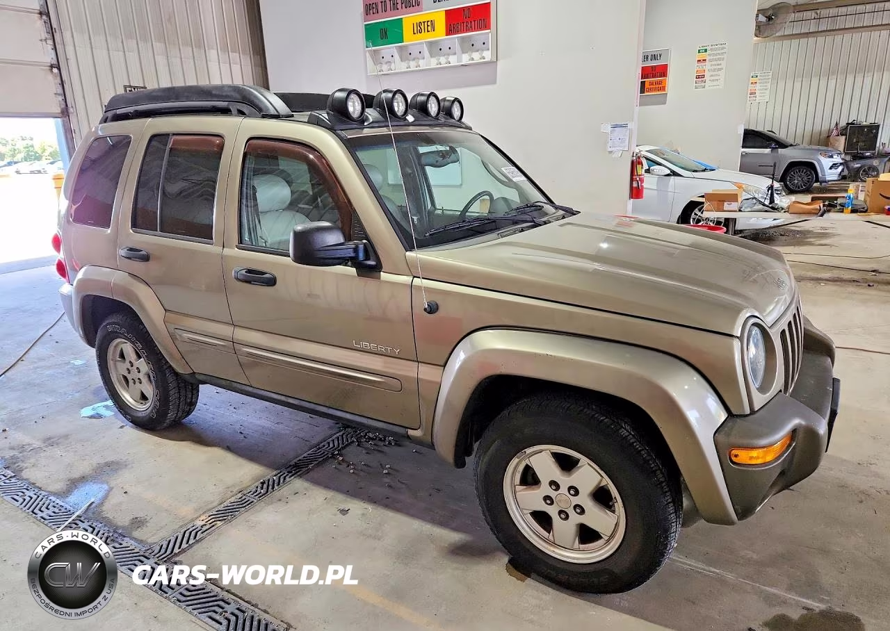 2004 Jeep Liberty Limited VIN:1J8GL58K34W195564 - 4