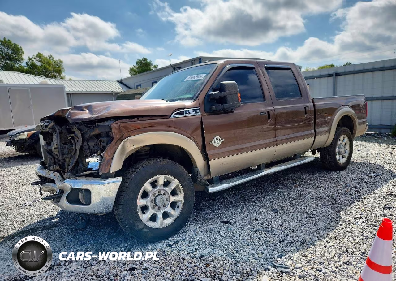 2011 Ford F250 Super Duty VIN:1FT7W2BT0BEB46310 - 1