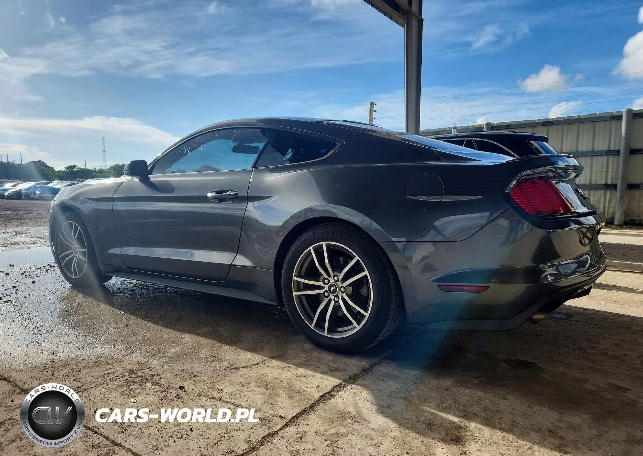 2017 Ford Mustang VIN:1FA6P8TH6H5295292 - 2