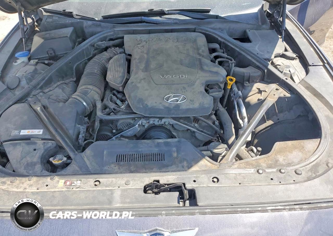 2016 Hyundai Genesis 3.8L VIN:KMHGN4JE2GU125839 - 11