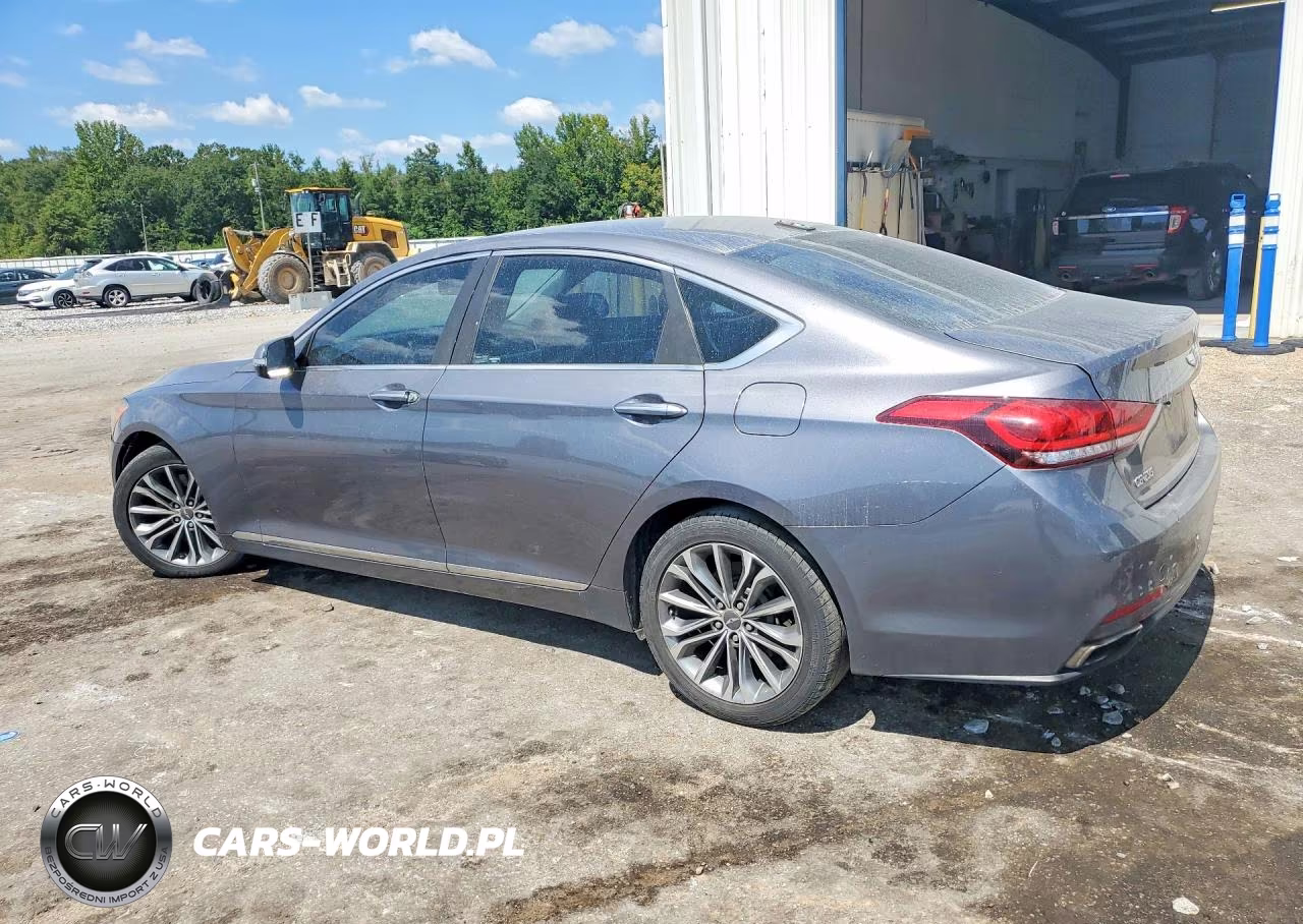 2016 Hyundai Genesis 3.8L VIN:KMHGN4JE2GU125839 - 2