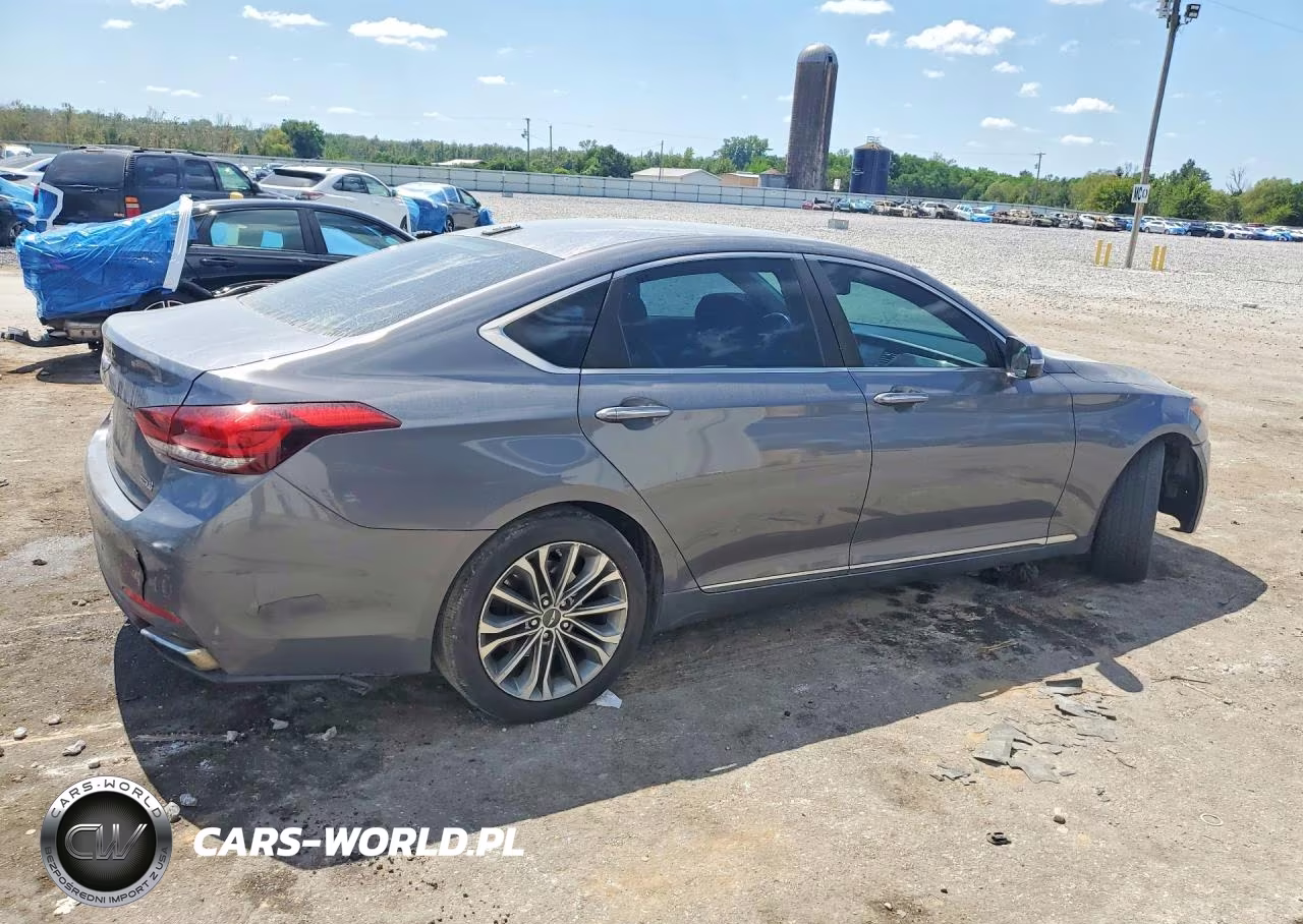 2016 Hyundai Genesis 3.8L VIN:KMHGN4JE2GU125839 - 3