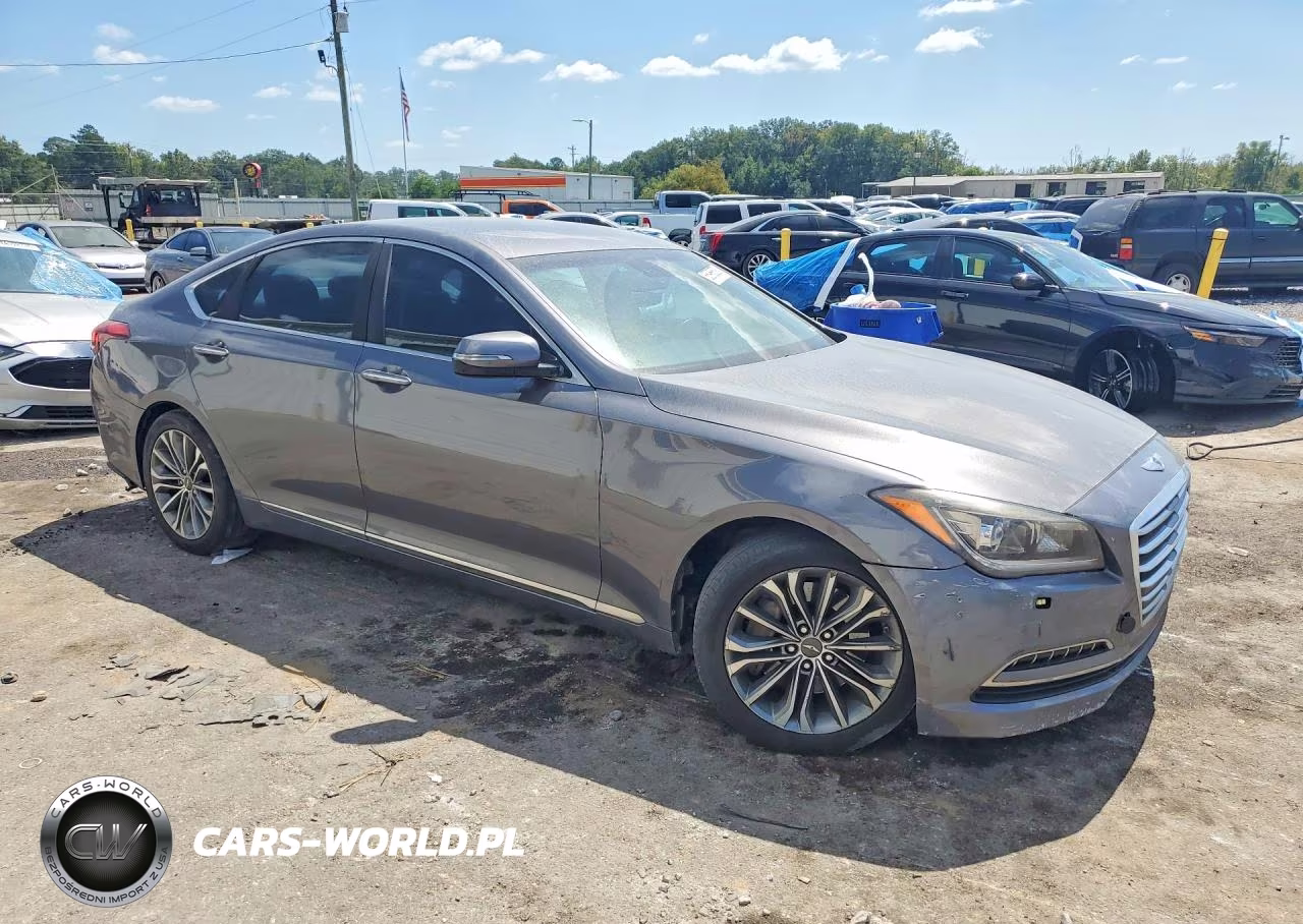 2016 Hyundai Genesis 3.8L VIN:KMHGN4JE2GU125839 - 4