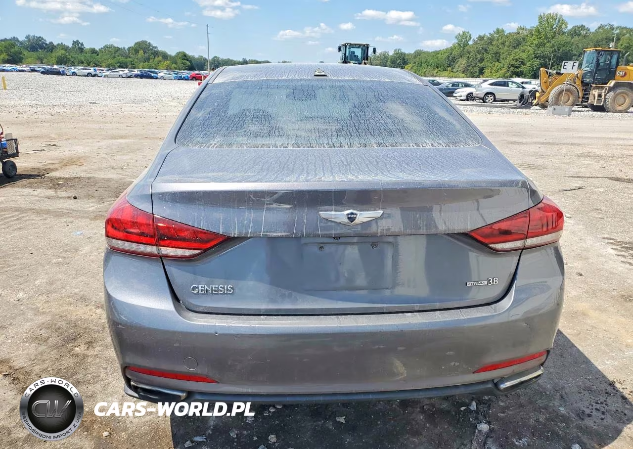 2016 Hyundai Genesis 3.8L VIN:KMHGN4JE2GU125839 - 6