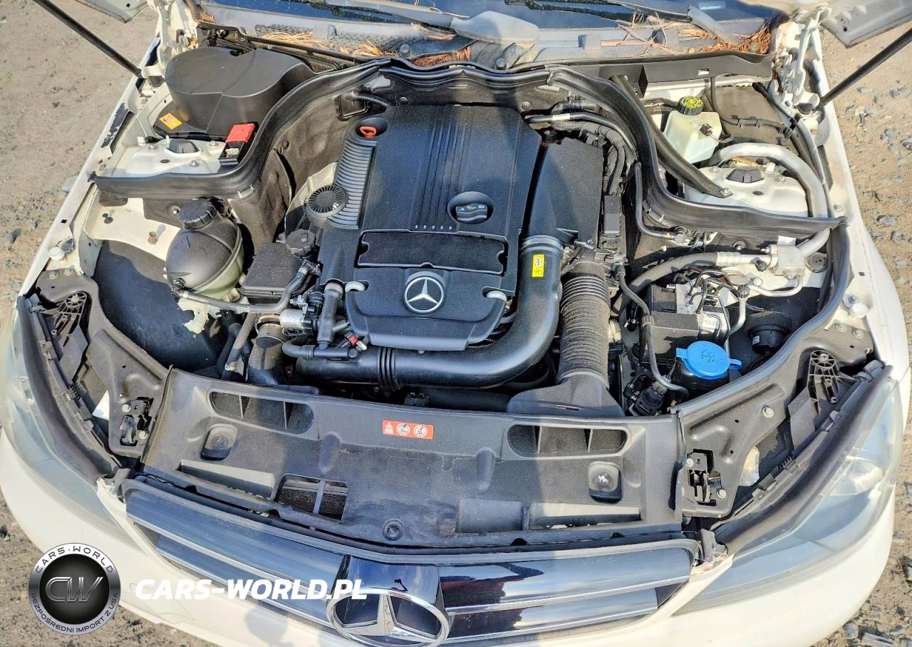 2014 Mercedes-Benz C 250 VIN:WDDGJ4HB5EG306947 - 11