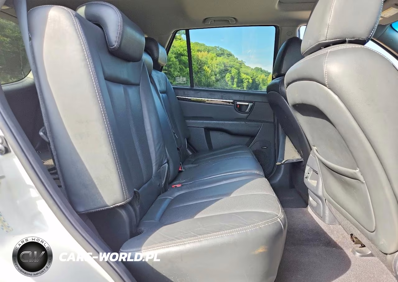 2009 Hyundai Santa Fe Limited VIN:5NMSH73E29H322931 - 11
