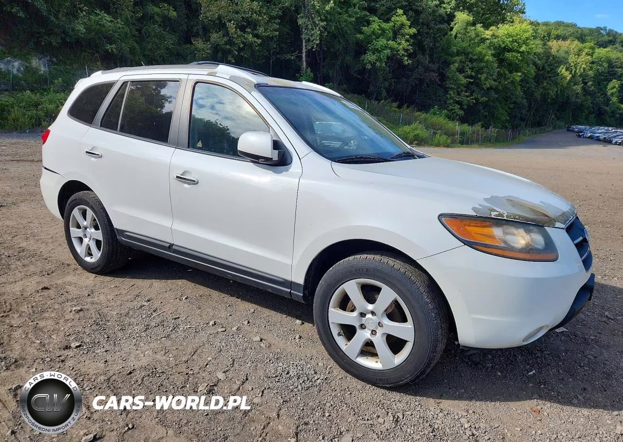 2009 Hyundai Santa Fe Limited VIN:5NMSH73E29H322931 - 4