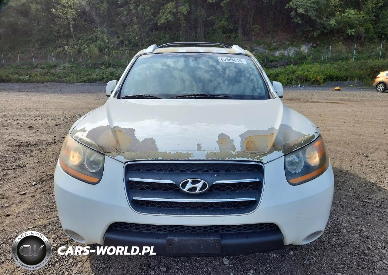 2009 Hyundai Santa Fe Limited VIN:5NMSH73E29H322931 - 5