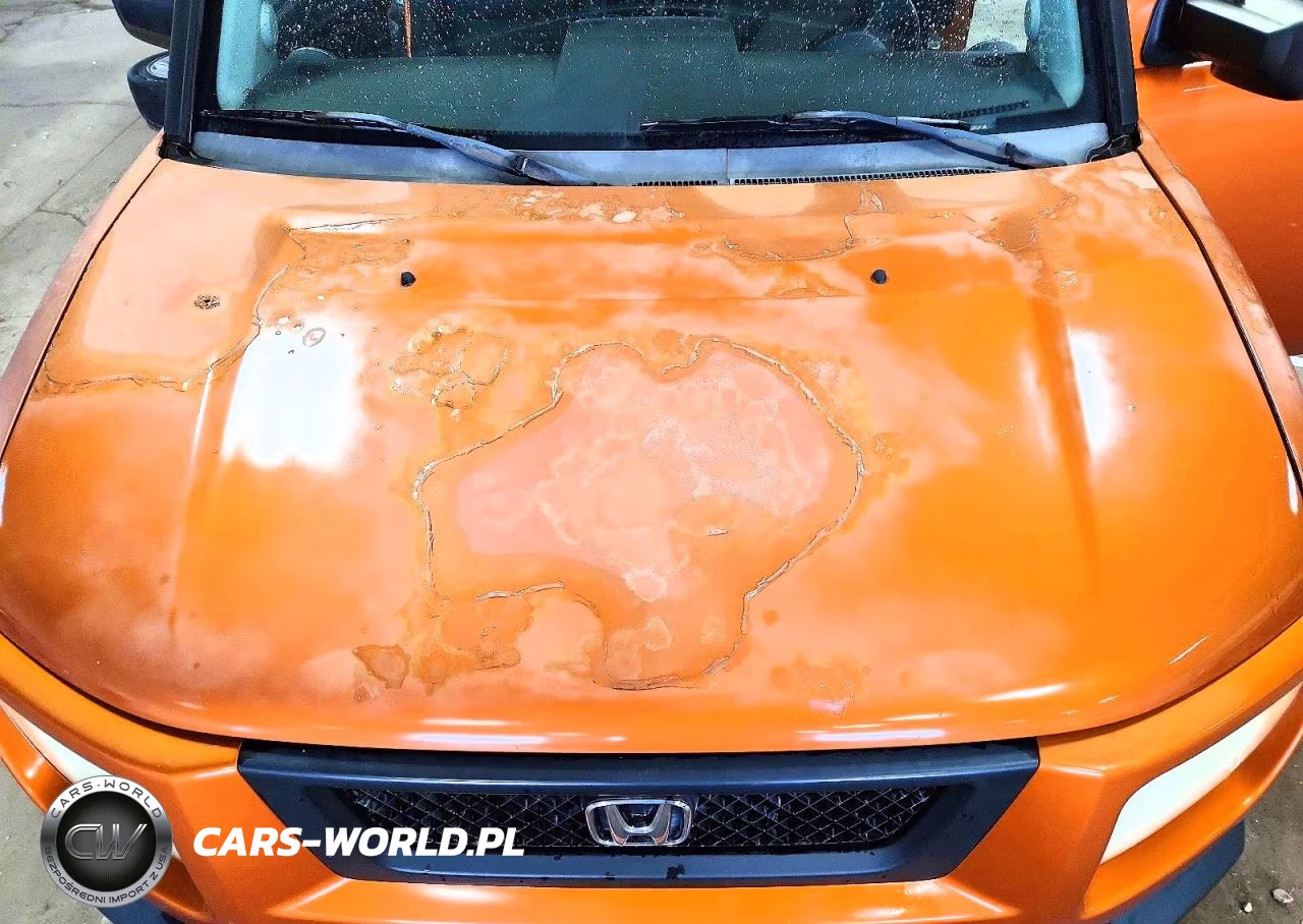 2006 Honda Element Ex VIN:5J6YH28776L008333 - 11