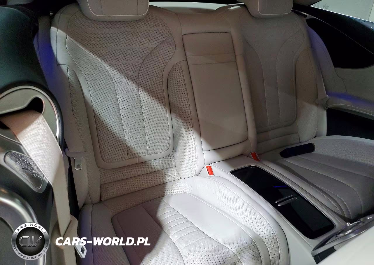 2015 Mercedes-Benz S 550 VIN:WDDXJ8FB3FA010646 - 10