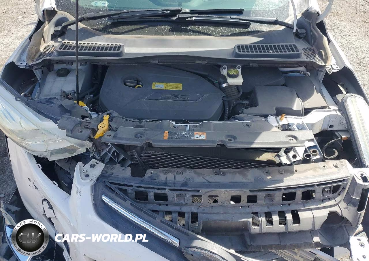 2013 Ford Escape Se VIN:1FMCU0GX1DUC35943 - 12
