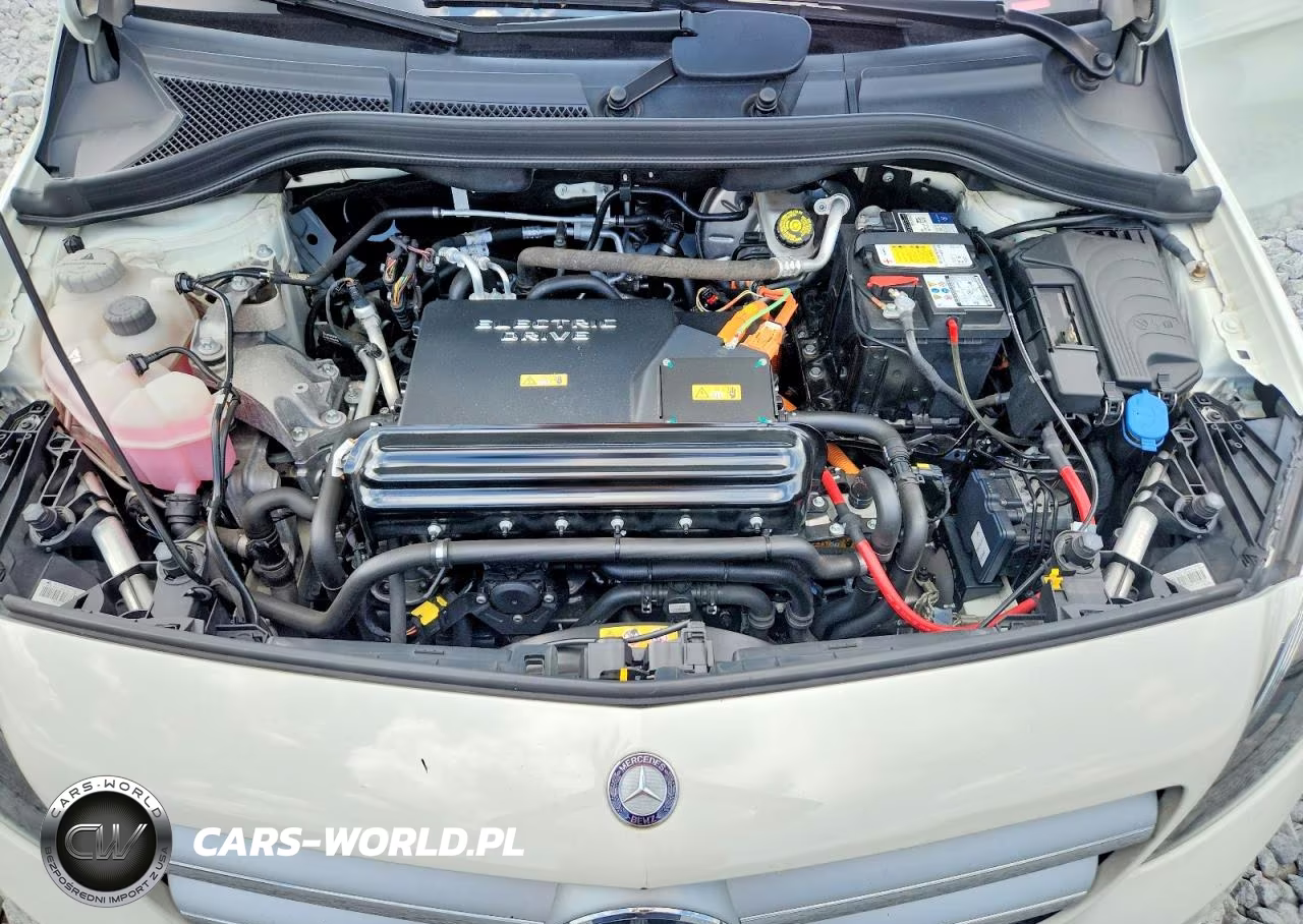 2017 Mercedes-Benz B 250E VIN:WDDVP9AB1HJ012689 - 11
