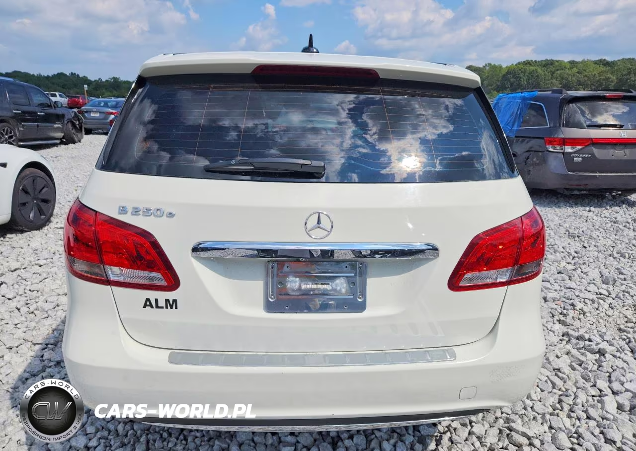 2017 Mercedes-Benz B 250E VIN:WDDVP9AB1HJ012689 - 6