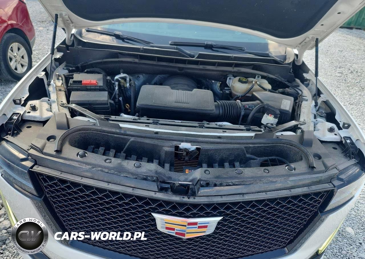 2021 Cadillac Escalade Esv Sport VIN:1GYS4PKL1MR256477 - 12