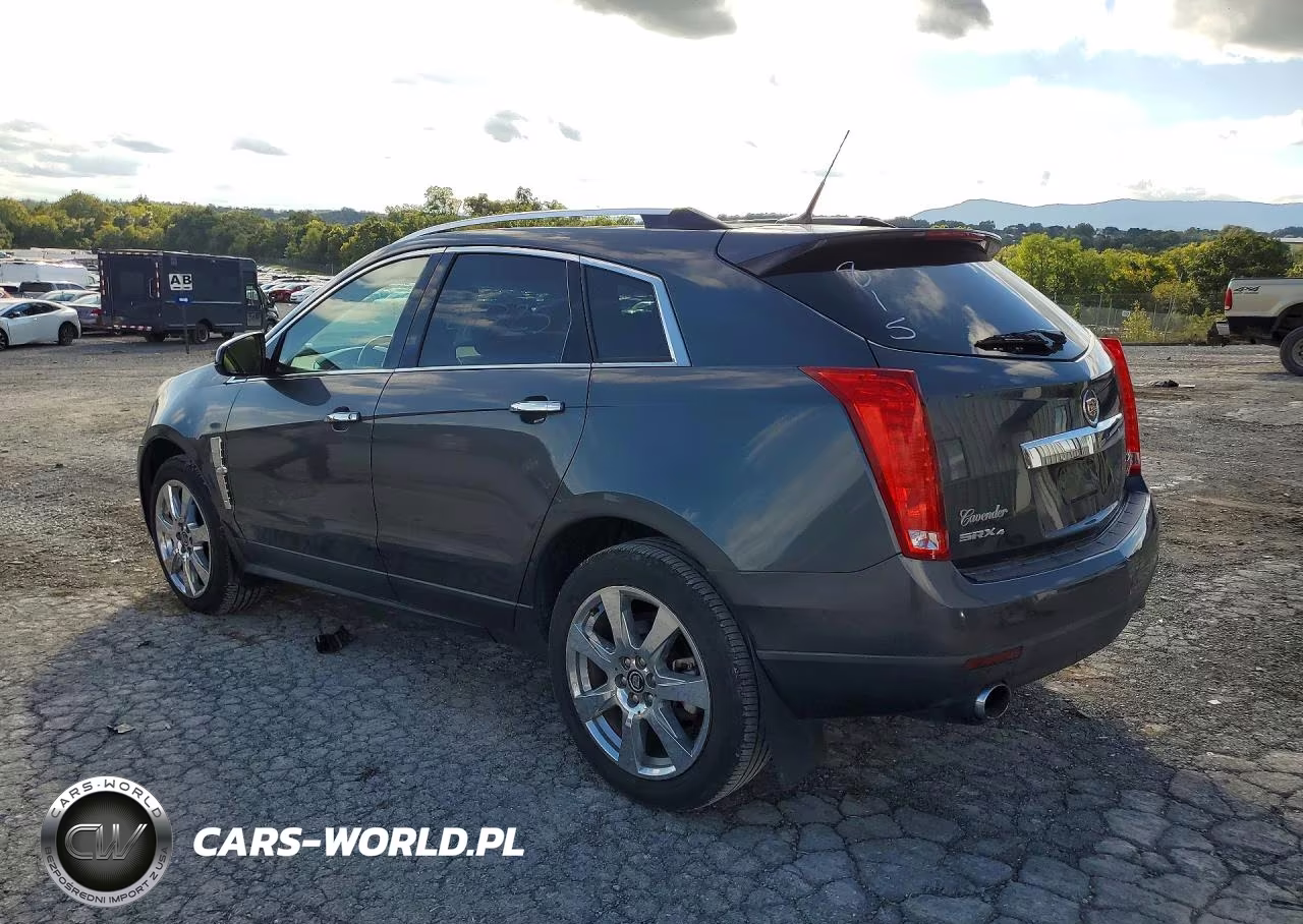 2010 Cadillac Srx Performance Collection VIN:3GYFNJE49AS568815 - 2