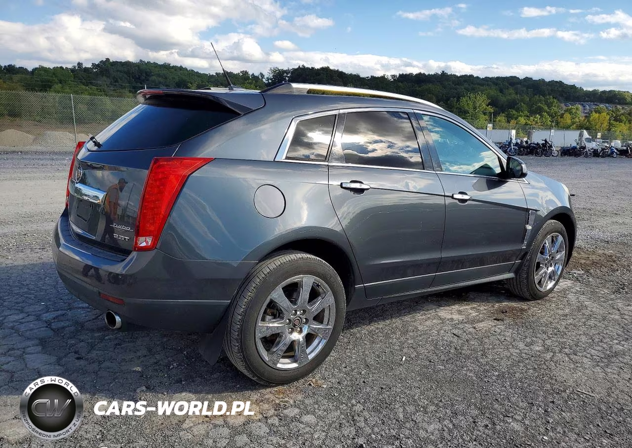2010 Cadillac Srx Performance Collection VIN:3GYFNJE49AS568815 - 3