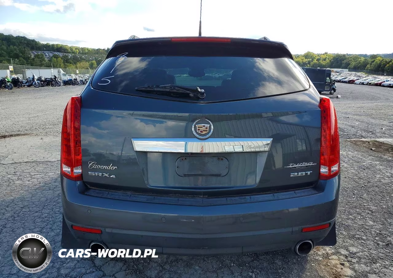 2010 Cadillac Srx Performance Collection VIN:3GYFNJE49AS568815 - 6