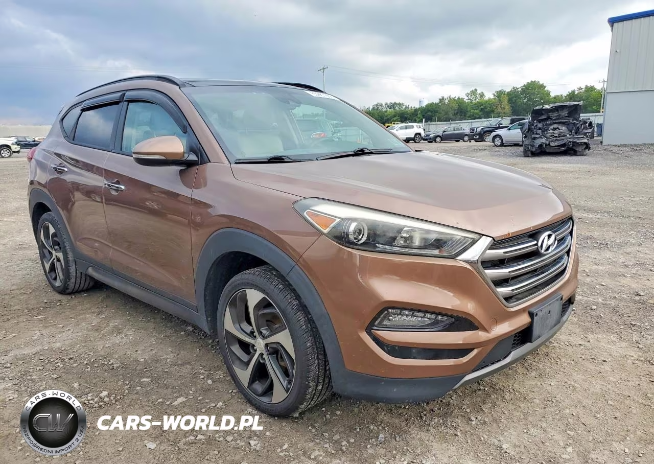 2016 Hyundai Tucson Limited VIN:KM8J3CA26GU044113 - 4