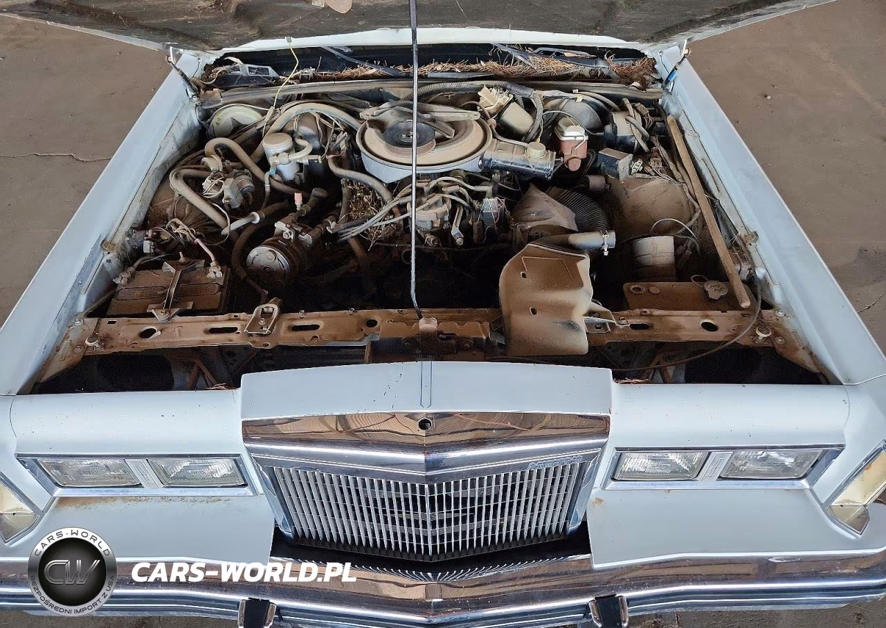 1984 Lincoln Town Car VIN:1LNBP96F5EY751619 - 11